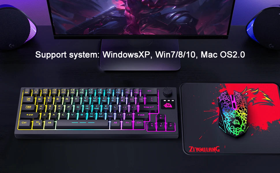 Wireless Gaming Keyboard and Mouse Combo